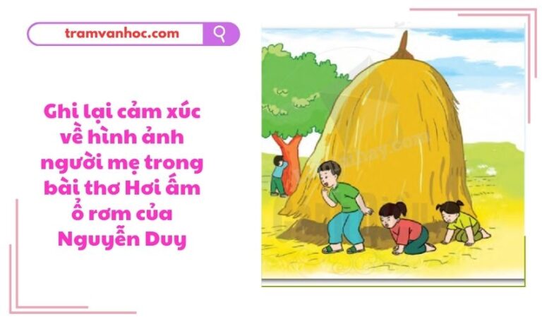 Ghi lại cảm xúc về hình ảnh người mẹ trong bài thơ Hơi ấm ổ rơm của ...